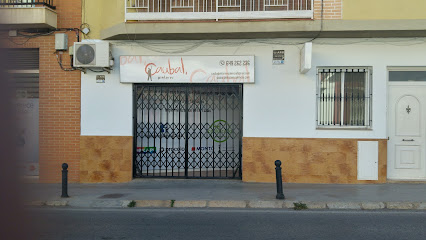 Dirección, horario, teléfono y opiniones de Caubal Pintores en Valencia