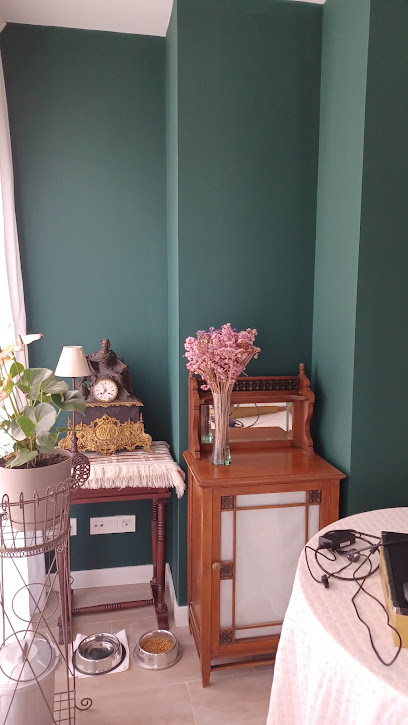 Dirección, horario, teléfono y opiniones de Decolor Pintores en Parla