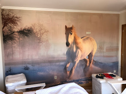 Dirección, horario, teléfono y opiniones de J Gomez Pintura y Decoración en Lugo