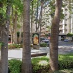 Dirección, horario, teléfono y opiniones de El Doctor Bañera Reparación, Restauración y Esmaltado de Bañeras y Platos de Ducha en Valencia en Torrent